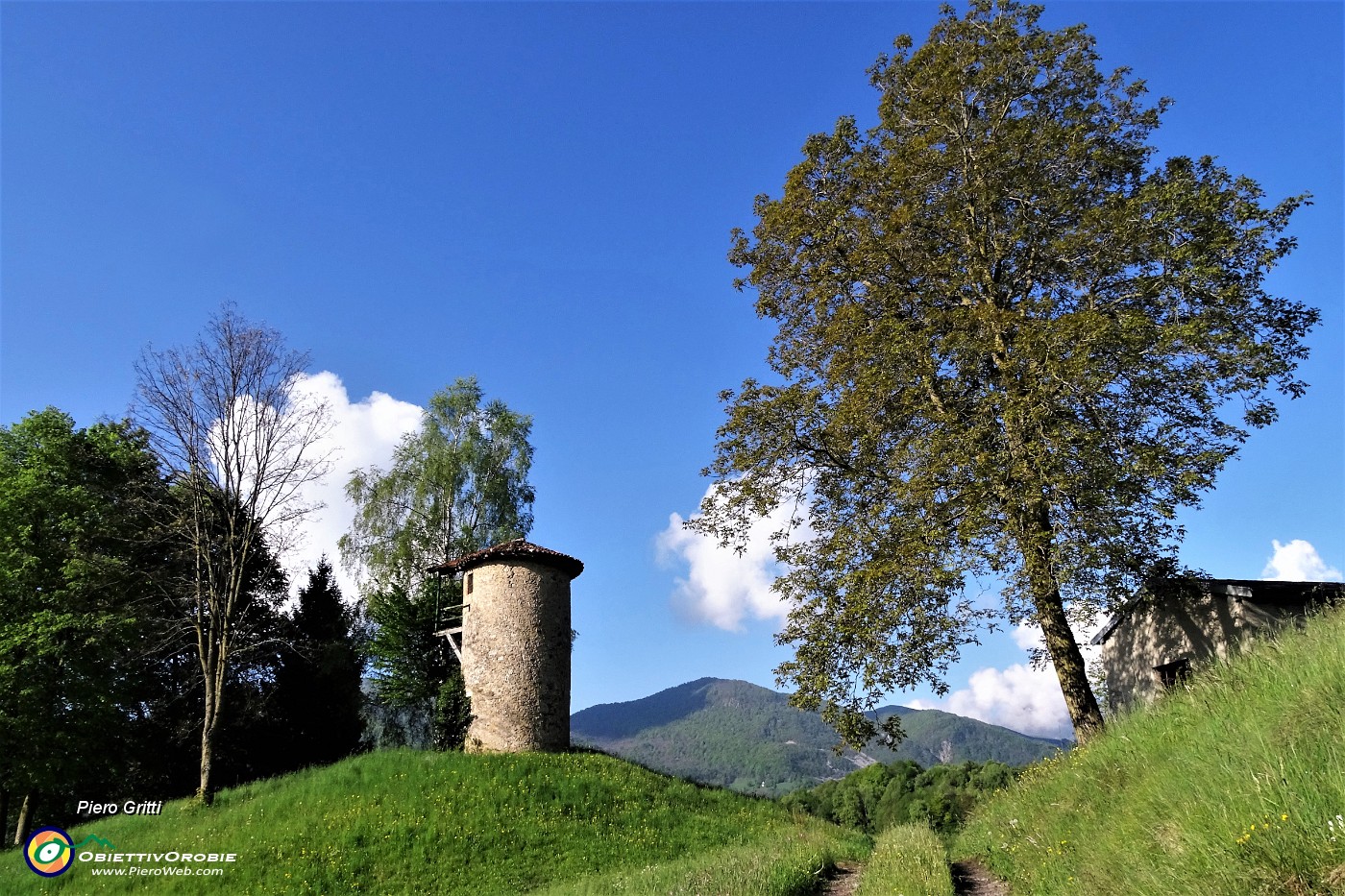 19 Un'occhiata al Roccolo di Reggetto-Torre degli Alpini.JPG -                                